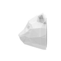 WILD LIGHT - LA VEILLEUSE MULTICOLOR MURALE