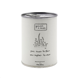 GRAINES Á SEMER EN BOÎTE DE CONVERSE - FAIRE DANSER LES FLEURS