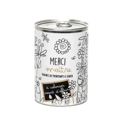 GRAINES Á SEMER EN BOÎTE DE CONVERSE - MERCI MAÎTRE Á COLORIER