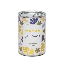 GRAINES Á SEMER EN BOÎTE DE CONVERSE - MAMAN JE T'AIME