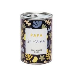 GRAINES Á SEMER EN BOÎTE DE CONVERSE - PAPA JE T'AIME