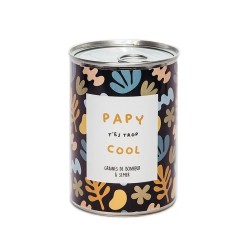 GRAINES Á SEMER EN BOÎTE DE CONVERSE - PAPY T'ES TROP COOL