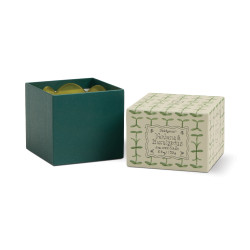 PADDYWAX - BOUGIE PARFUMÉE EN VERRE - TULIP - VERBENA & LEMONGRASS