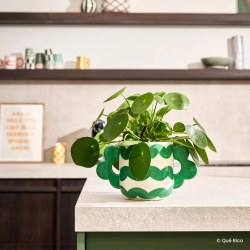 QUÉ RICO - POT DE FLEURS EN CÉRAMIQUE - JACINTA - WAVY RUMBA
